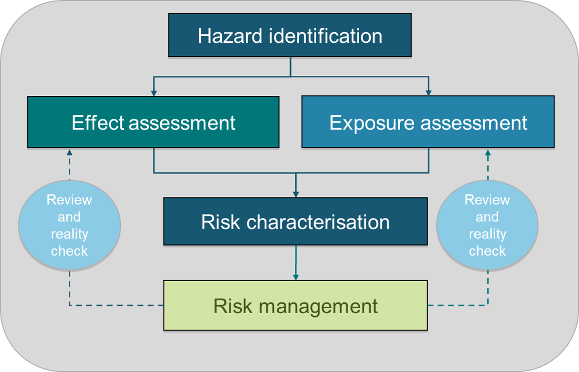Chapter 2 Risk assessment of chemicals Bioanalytical Tools